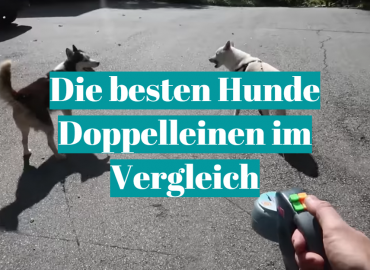 Die besten Hunde Doppelleinen im Vergleich