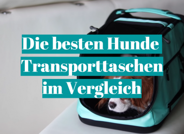 Die besten Hunde Transporttaschen im Vergleich