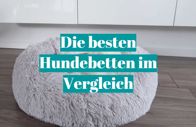 Hundebett Test [currentmonth] [currentyear]: Die besten 5 Hundebetten im Vergleich